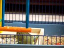 Migual leaves his cage