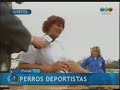 PUCARA EN EL NOTICIERO DE TELEFE