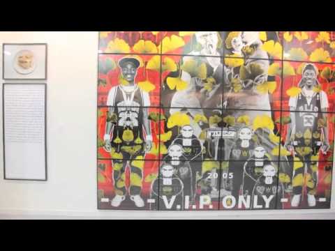 Sophie Calle introduced at the India Art Fair 2012 