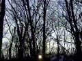 2x last 4 wo tracking.mov