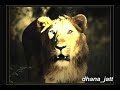 Udham Singh ( A tribute to a real lion)