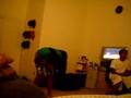 daynaa, josh, john && craigg.