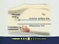 Examination of the Spleen Examination of the Spleen