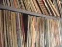 Diggin in Miami