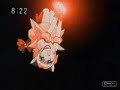 hawaiian rollercoaster mew hawaiian rollercoaster mew