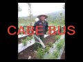 ANAK KERINCI JAMBI