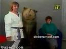 bear attack