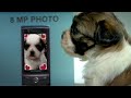 38 Cute Animals, 1 Cool Screen, 8 Different Uses