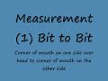 Carriage driving horse harness measurements
