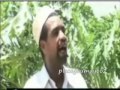 Sheeko gaaban: Ismaan dhaaf ! Part 2 Sheeko gaaban: Ismaan dhaaf ! Part 2