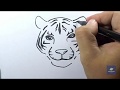 View 12 Simple Easy Tiger Drawing Face