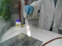 Brummender Gummib�r