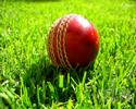 Desifusion Cricket Championship Trophy