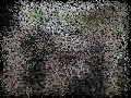Thumbnail #3
