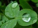 Sometimes When it Rains