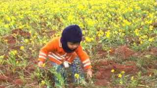 My-son-in-Flower Garden1.mpg