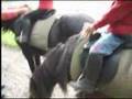 Ruben eerste ontmoeting met paard