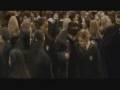    Harry Potter - In Memory by Shinedown
