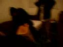 haha sarah,trevis,joe,sj,courtney and candice! at sarah and trevis's house!!