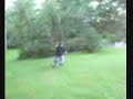 The Spartain motor warrior