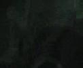 Question about the Zombies