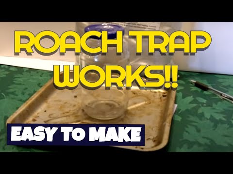 how to control roaches