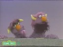 Sesame Street: Two Headed Monster And Mirrors Sesame Street: Two Headed Monster And Mirrors