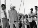 Picnic 1955 Picnic 1955