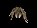 Arachnophobia Arachnophobia