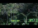 Scorpions - humanity (Slide show about Amazonia rainforest) Scorpions - humanity (Slide show about Amazonia rainforest)