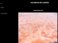 Salz - Salinen - Salobrar de Campos Salines Mallorca