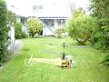 Electric Chopper Fun