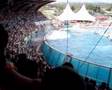 Marineland