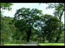 2008-06-15-A Trip to Fu Shan Botanical Garden-h-Part (a)
