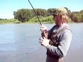 Fly Fishing for Skeena River Sockeye Salmon