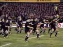 haka haka