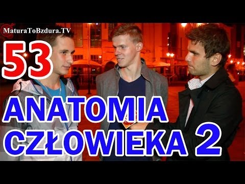 Matura To Bzdura - ANATOMIA CZŁOWIEKA (CZĘŚĆ 2) - ODCINEK INTERAKTYWNY 53