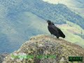 Pico dos Marins 2008 (2/2)