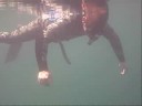 Haigh Quarry Freediving