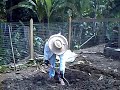 Sin asuntos quimicos, aqui enseño como preparo el terreno para mi huerta, conuco o hortaliza organica. Aqui sembrare vegetales de manera natural.