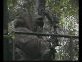 Treestand