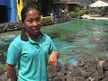 Hawaii Oahu with Kids - Sea Life Park - Travel With Kids