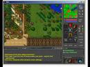 The Screen Shot (TIBIA)