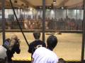 videos de Max Wedge vs. WulfRam - SDC 2004