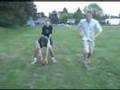 Playing In Reverse