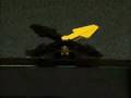 FLL 2008/2009