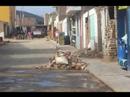 Terremoto peru - mala tambien temblo Terremoto peru - mala tambien temblo