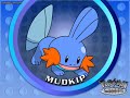 Why You Should Love Mudkip!!!