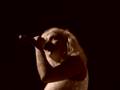 Krezip - Sweet Goodbyes @ Patronaat