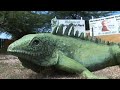 Fascinating Curacao - Curacao-actief tour northcoast Fascinating Curacao - Curacao-actief tour northcoast